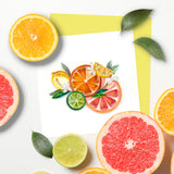 Quilled Citrus Art Greeting Card next to grapefruits, limes, oranges, and leaves on a white background
