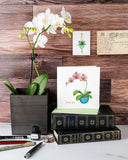 Quilled Potted Orchid Greeting Card on book with light green envelope next to white orchid 