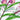 Quilled Alaskan Fireweed Wildflowers Greeting Card - Quilling Card - Greeting Card