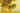 Art - Size Artist Series - Sunflowers, Van Gogh - Quilling Card - Artist Series