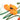 Quilled Red & Orange Poppies Greeting Card - Quilling Card - Greeting Card