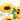 Quilled Wild Sunflowers Greeting Card - Quilling Card - Greeting Card
