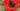 Poppies Handmade Card - Quilling Card - Greeting Card