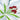 Quilled Madonna Lily Bloom Greeting Card - Quilling Card - Greeting Card