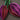 Framed Art - Size Artist Series - Vase of Flowers, de Heem - Quilling Card - Artist Series