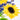 Quilled Birthday Sunflower Bouquet Greeting Card - Quilling Card - Greeting Card