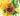 Gallery Artist Series - Quilled Sunflowers, Van Gogh - Quilling Card - Artist Series