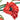 Quilled Red & Orange Poppies Greeting Card - Quilling Card - Greeting Card