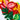 LTD Vietnam Art Series - Quilled Tropical Parrot - Quilling Card - Art