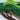 Quilled Acacia Tree Greeting Card - Quilling Card - Greeting Card