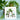 Quilled Palm Trees Greeting Card - Quilling Card - Greeting Card