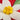 Handmade Red Poinsettia Greeting Card - Quilling Card