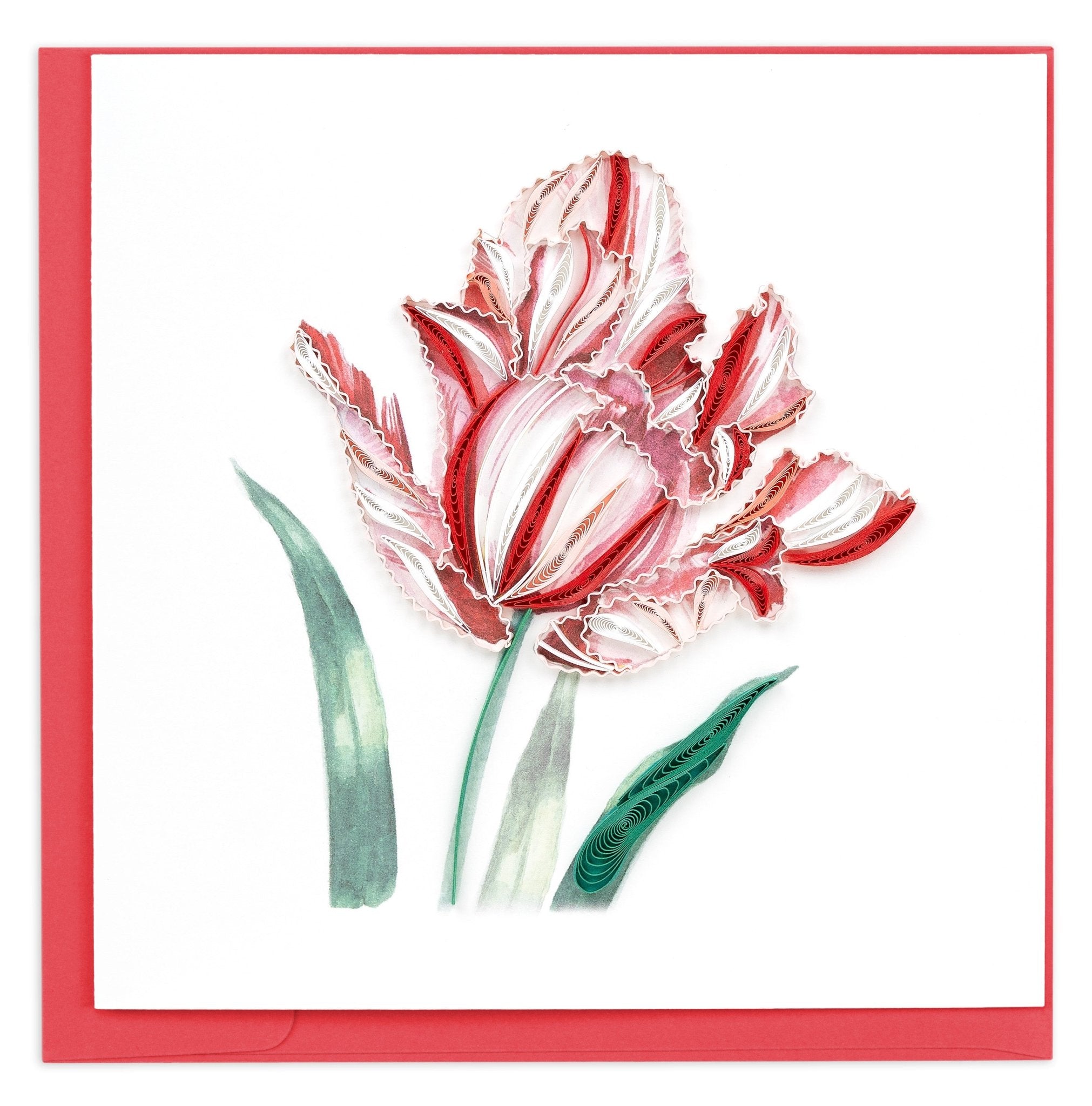 Quilled Red & White Tulip Bloom Greeting Card