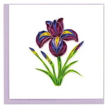 Quilled Iris Flower Greeting Card - Quilling Card - Greeting Card