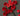 Art - Size Artist Series – Vase of Flowers, de Heem - Quilling Card - Artist Series