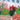 Quilled Mother's Day Flower Cart (French) Greeting Card - Quilling Card - Greeting Card