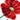 Quilled Blue Cornflower & Poppies Greeting Card - Quilling Card - Greeting Card
