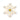 White Poinsettia Ornament - Single