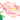 Quilled Bluebird & Peonies Greeting Card - Quilling Card - Greeting Card