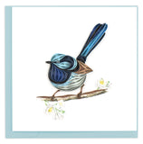 Blank Greeting Card of a Blue Fairywren perched on a branch with white flowers