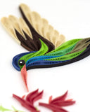 Detail shot of Quilled Broad-billed Hummingbird Card