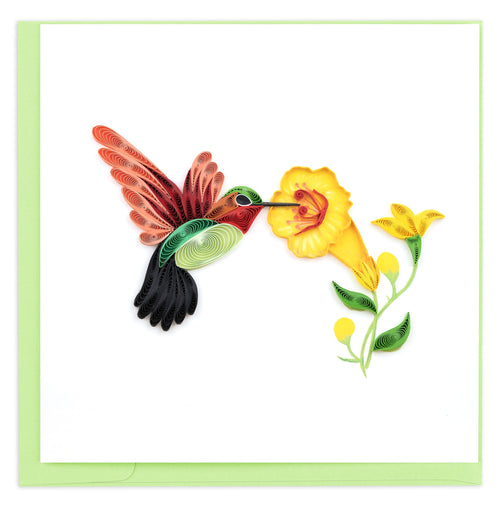 Hummingbird, flower,