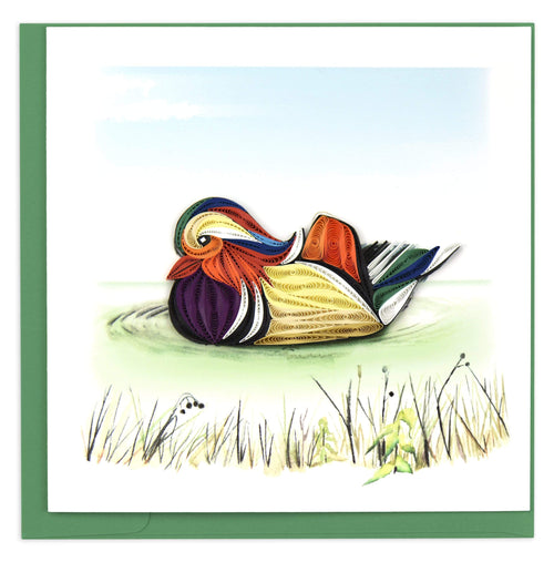 Blank Quilled Card of a Mandarin Duck floating on a lake