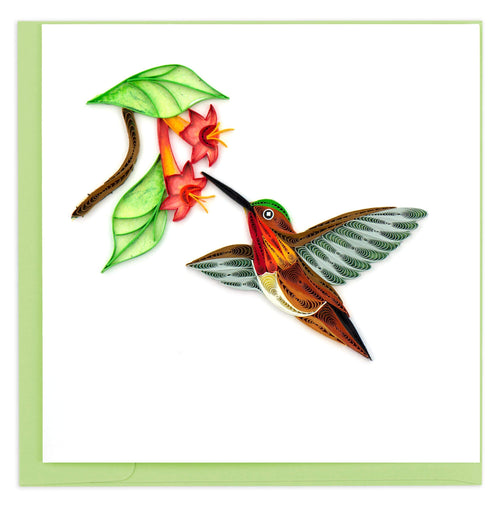 Blank greeting card of Rufous Hummingbird collecting nectar from a flower