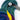 Quilled Golden - breasted Starling Greeting Card - Quilling Card - Greeting Card