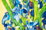 Framed Art-Size Artist Series - Irises, Van Gogh