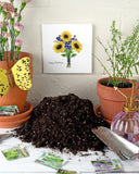 Quilled Birthday Sunflower Bouquet Greeting Card hanging on a white brick wall behind terracotta flower pots, a pile of dirt, packets of flower seeds, and a gardening shovel.