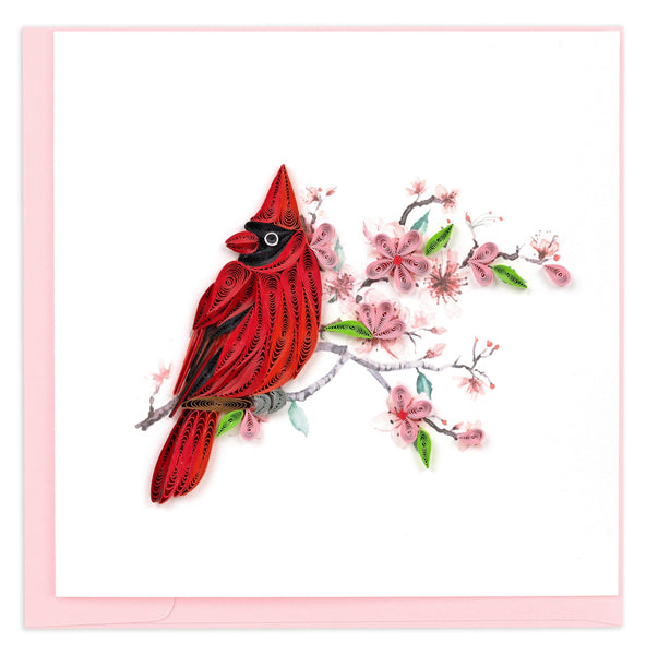 red cardinal, cherry blossom tree, pink petals