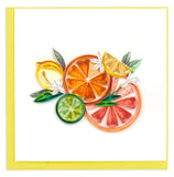 citrus fruit, lemon, lime, grapefuit, white flowers