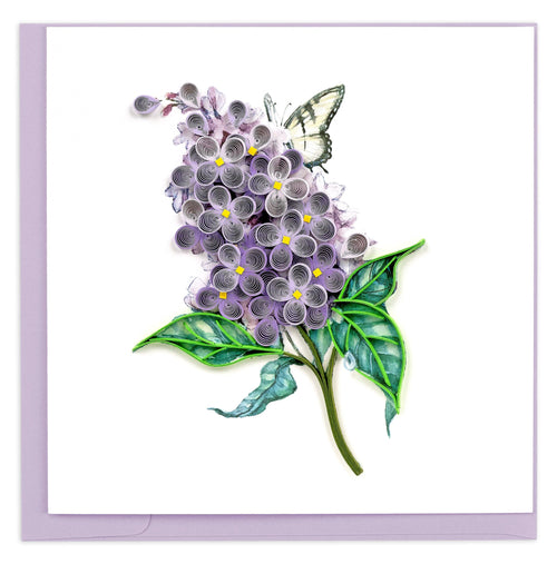 lilac flower, butterfly, green leaves