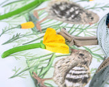 Detail of Quilled Quail with Chicks & Poppies Greeting Card