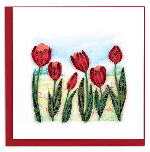 red tulips, field, blue sky