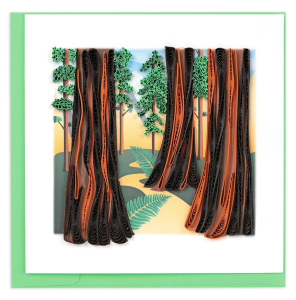 redwood trees, forest, leaves