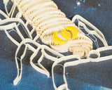 Quilled Scorpio Greeting Card