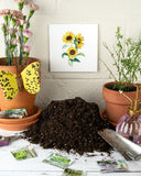Quilled Wild Sunflowers Greeting Card on white brick wall above garden soil and terra cotta pots with flowers, seed packets, and gardening shovel