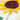 Sunflowers Handmade Quilled Paper Bookmark - Quilling Card - Bookmark