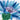Quilled Blue Cornflower Greeting Card - Quilling Card - Greeting Card