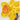 Quilled Daffodils Greeting Card - Quilling Card - Greeting Card