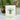 Quilled White Daisies in Jar Greeting Card - Quilling Card - Greeting Card