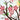Quilled Cherry Blossoms Greeting Card - Quilling Card - Greeting Card