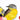 LTD Vietnam Art Series - Quilled Bird Couple - Quilling Card - Art