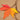Handmade Autumn Leaves Greeting Card - Quilling Card