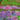 Framed Art - Size Artist Series - The Artist's Garden at Giverny, Monet - Quilling Card - Artist Series