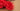 Love Red Roses Handmade Card - Quilling Card - Greeting Card
