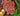 Art - Size Artist Series – Vase of Flowers, de Heem - Quilling Card - Artist Series