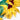 Quilled Wild Sunflowers Greeting Card - Quilling Card - Greeting Card